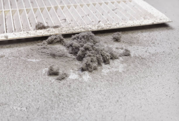Best Emergency Air Duct Cleaning  in Albion, IL