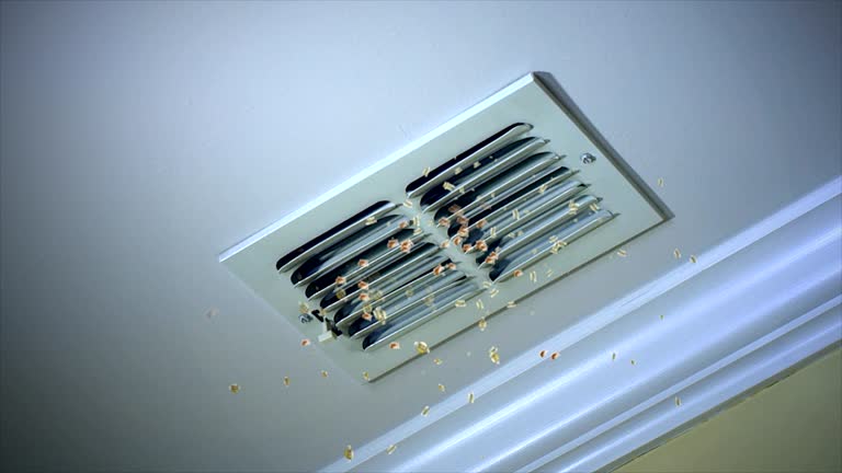 Best Local Air Duct Cleaning Services  in Albion, IL
