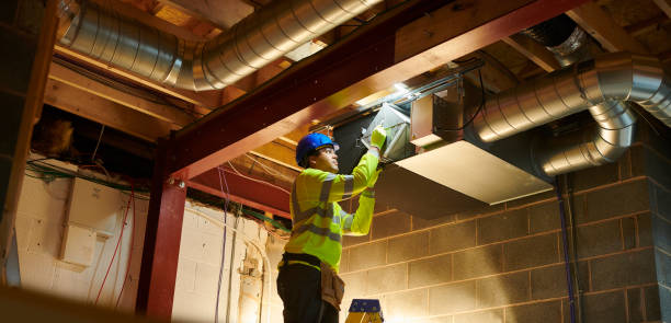 Best Affordable Duct Cleaning Services  in Albion, IL