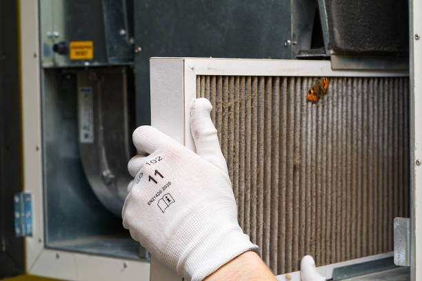 Air Quality Test in Albion, IL