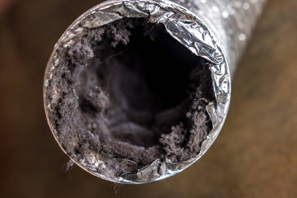 Best HVAC Duct Inspection Services  in Albion, IL