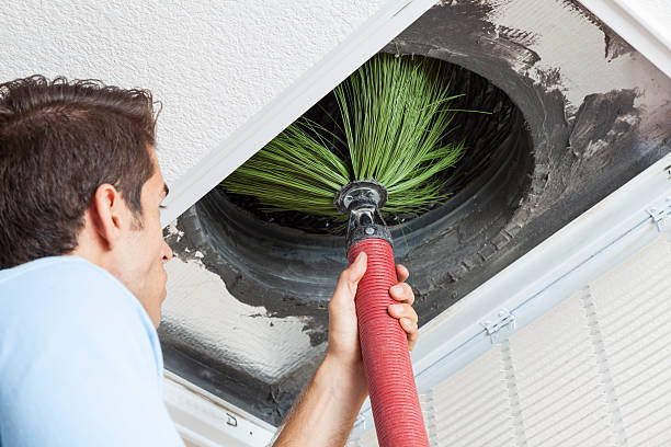 Best Residential Air Duct Cleaning  in Albion, IL